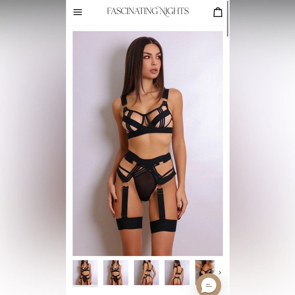 Fascinating Nights Intimates NWT - Anahi Lingerie Set - $75 retail - size S